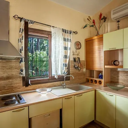 Elegant Marlon With Shared Pool Near Sani Villa Sani (Chalkidiki)