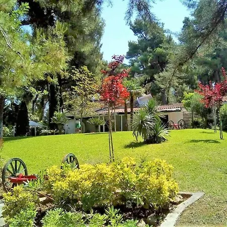 Villa Elegant Marlon With Shared Pool Near Sani