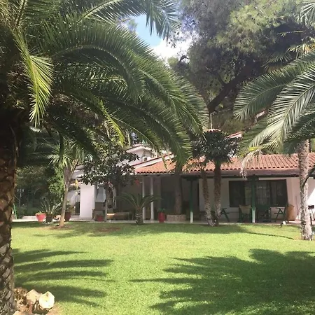 Elegant Marlon With Shared Pool Near Sani