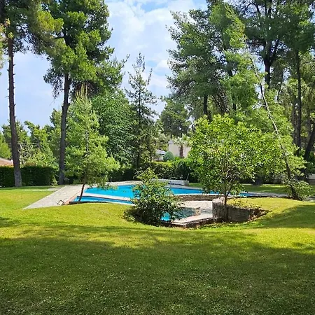 Elegant Marlon With Shared Pool Near Sani Sani (Chalkidiki)