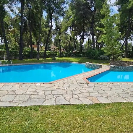 Willa Elegant Marlon With Shared Pool Near Sani Sani (Chalkidiki)