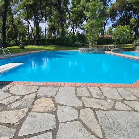 Elegant Marlon With Shared Pool Near Sani Willa Sani (Chalkidiki)